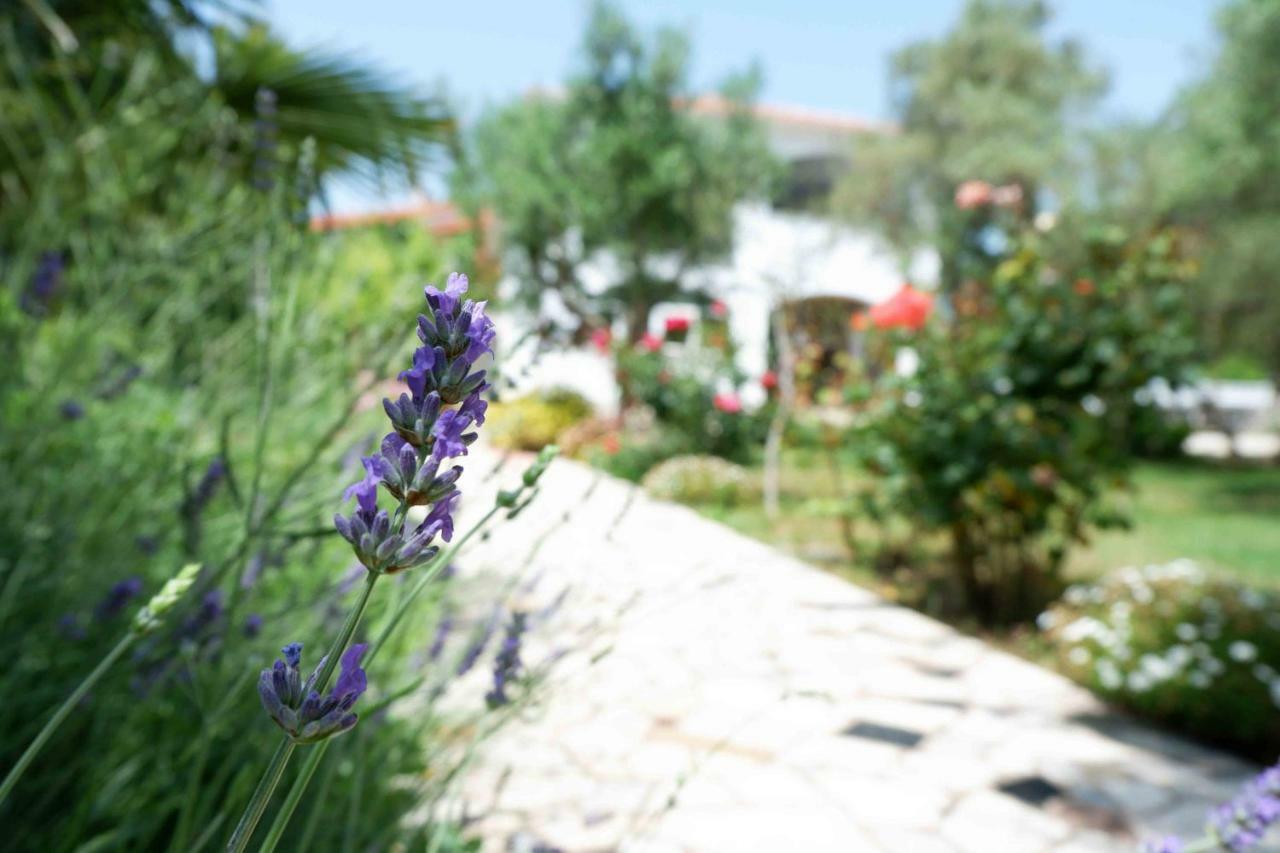 Apartment Ponos Krk Town Dış mekan fotoğraf