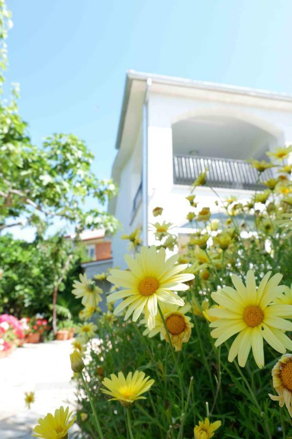 Apartment Ponos Krk Town Dış mekan fotoğraf